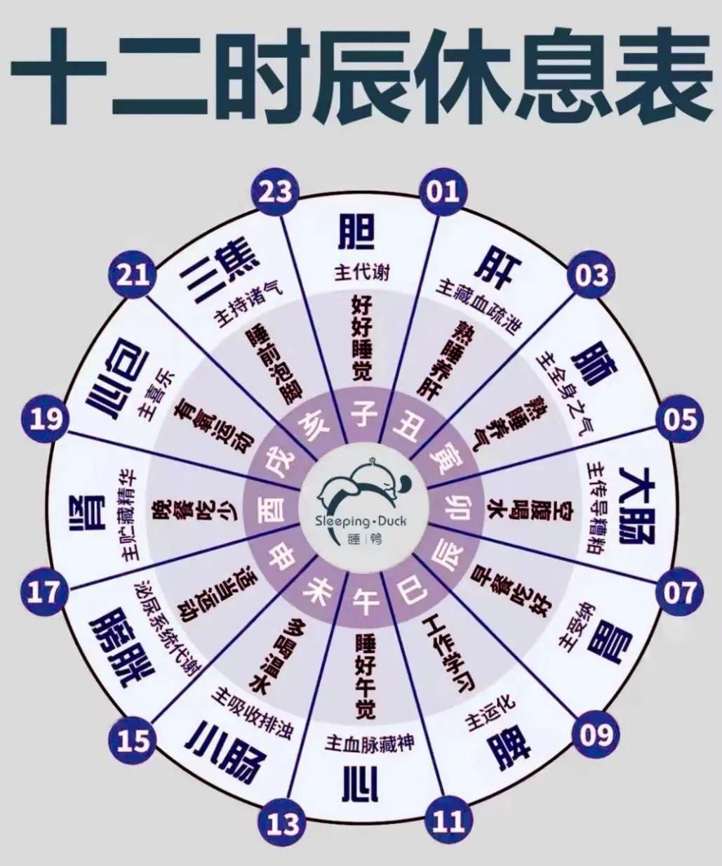中医养生：脾胃为后天之本的调养之道