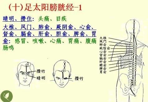 人体 “能量开关”：特定腧穴与现代生物电的关联研究